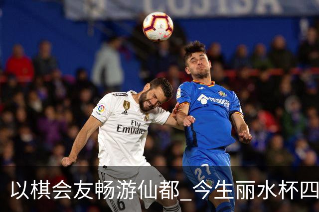 以棋会友畅游仙都 今生丽水杯四地围棋交流活动圆满落幕